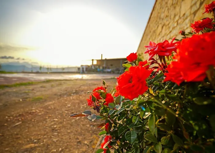 Dreamy Farm 公寓 Sarandë